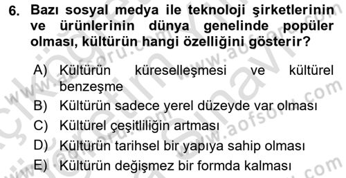 Uluslararası İlişkilere Giriş Dersi 2023 - 2024 Yılı (Vize) Ara Sınav Soruları 6. Soru