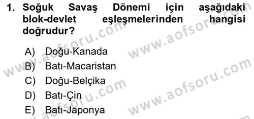 Uluslararası İlişkilere Giriş Dersi 2023 - 2024 Yılı Yaz Okulu Sınav Soruları 1. Soru