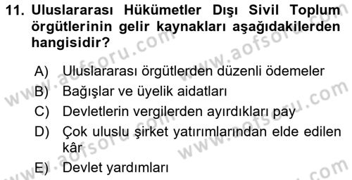 Uluslararası İlişkilere Giriş Dersi 2023 - 2024 Yılı Yaz Okulu Sınav Soruları 11. Soru