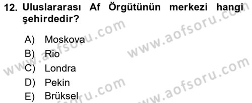 Uluslararası İlişkilere Giriş Dersi 2023 - 2024 Yılı Yaz Okulu Sınav Soruları 12. Soru