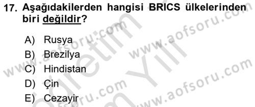 Uluslararası İlişkilere Giriş Dersi 2023 - 2024 Yılı Yaz Okulu Sınav Soruları 17. Soru