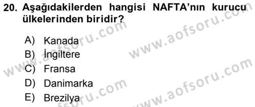 Uluslararası İlişkilere Giriş Dersi 2023 - 2024 Yılı Yaz Okulu Sınav Soruları 20. Soru