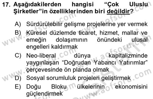 Uluslararası İlişkilere Giriş Dersi 2024 - 2025 Yılı (Final) Dönem Sonu Sınav Soruları 17. Soru
