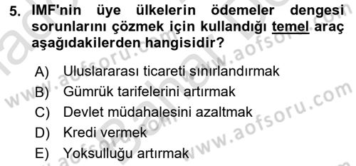 Uluslararası İlişkilere Giriş Dersi 2024 - 2025 Yılı (Final) Dönem Sonu Sınav Soruları 5. Soru