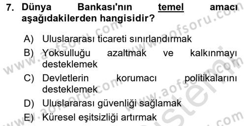 Uluslararası İlişkilere Giriş Dersi 2024 - 2025 Yılı (Final) Dönem Sonu Sınav Soruları 7. Soru