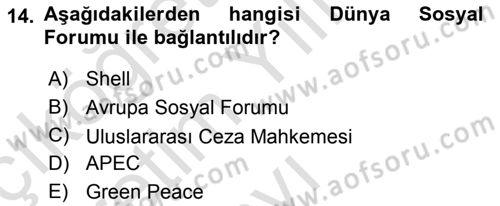 Uluslararası İlişkilere Giriş Dersi 2024 - 2025 Yılı Yaz Okulu Sınav Soruları 14. Soru