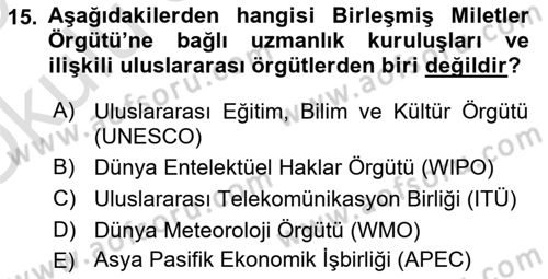 Uluslararası İlişkilere Giriş Dersi 2024 - 2025 Yılı Yaz Okulu Sınav Soruları 15. Soru
