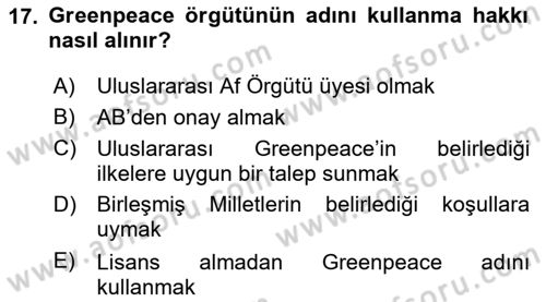 Uluslararası İlişkilere Giriş Dersi 2024 - 2025 Yılı Yaz Okulu Sınav Soruları 17. Soru