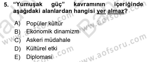 Uluslararası İlişkilere Giriş Dersi 2025 - 2026 Yılı (Vize) Ara Sınav Soruları 5. Soru
