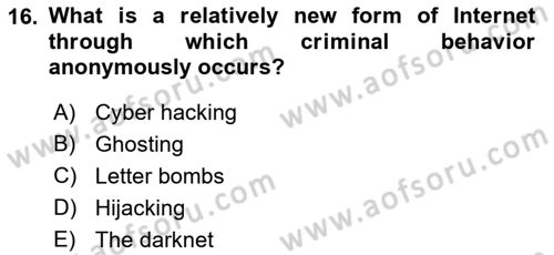 Introduction to International Relations Dersi Ara Sınavı Deneme Sınav Soruları 16. Soru