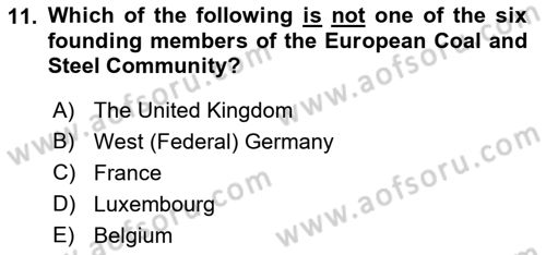 Introduction to International Relations Dersi 2017 - 2018 Yılı (Final) Dönem Sonu Sınav Soruları 11. Soru