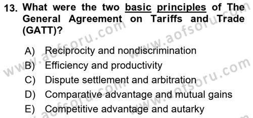 Introduction to International Relations Dersi 2017 - 2018 Yılı (Final) Dönem Sonu Sınav Soruları 13. Soru