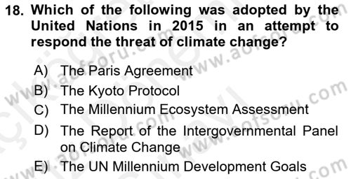 Introduction to International Relations Dersi 2017 - 2018 Yılı (Final) Dönem Sonu Sınav Soruları 18. Soru
