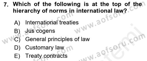 Introduction to International Relations Dersi 2017 - 2018 Yılı (Final) Dönem Sonu Sınav Soruları 7. Soru