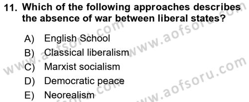 Introduction to International Relations Dersi Ara Sınavı Deneme Sınav Soruları 11. Soru