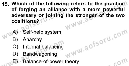 Introduction to International Relations Dersi 2018 - 2019 Yılı (Vize) Ara Sınav Soruları 15. Soru