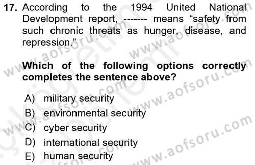 Introduction to International Relations Dersi Ara Sınavı Deneme Sınav Soruları 17. Soru