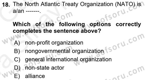 Introduction to International Relations Dersi Ara Sınavı Deneme Sınav Soruları 18. Soru