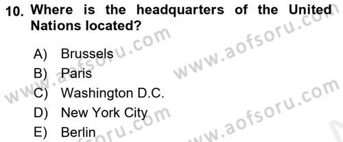 Introduction to International Relations Dersi 2018 - 2019 Yılı (Final) Dönem Sonu Sınav Soruları 10. Soru