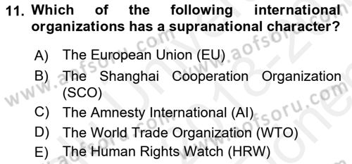 Introduction to International Relations Dersi 2018 - 2019 Yılı (Final) Dönem Sonu Sınav Soruları 11. Soru