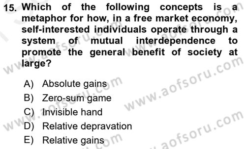 Introduction to International Relations Dersi 2018 - 2019 Yılı (Final) Dönem Sonu Sınav Soruları 15. Soru