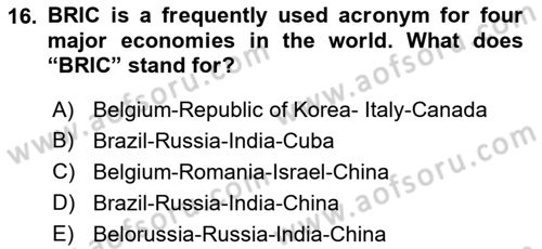 Introduction to International Relations Dersi 2018 - 2019 Yılı (Final) Dönem Sonu Sınav Soruları 16. Soru