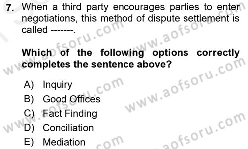 Introduction to International Relations Dersi 2018 - 2019 Yılı (Final) Dönem Sonu Sınav Soruları 7. Soru