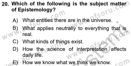 Introduction to International Relations Dersi 2018 - 2019 Yılı Yaz Okulu Sınav Soruları 20. Soru