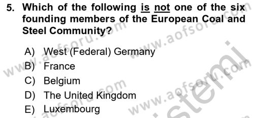 Introduction to International Relations Dersi 2018 - 2019 Yılı Yaz Okulu Sınav Soruları 5. Soru