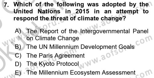 Introduction to International Relations Dersi 2018 - 2019 Yılı Yaz Okulu Sınav Soruları 7. Soru