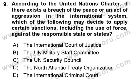 Introduction to International Relations Dersi 2018 - 2019 Yılı Yaz Okulu Sınav Soruları 9. Soru