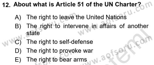 Introduction to International Relations Dersi Ara Sınavı Deneme Sınav Soruları 12. Soru