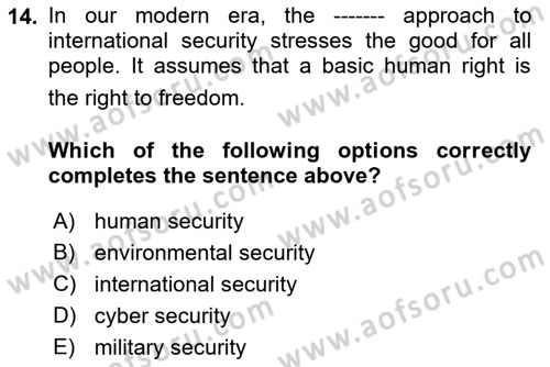 Introduction to International Relations Dersi Ara Sınavı Deneme Sınav Soruları 14. Soru