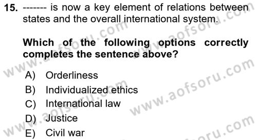 Introduction to International Relations Dersi Ara Sınavı Deneme Sınav Soruları 15. Soru