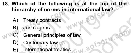 Introduction to International Relations Dersi 2019 - 2020 Yılı (Final) Dönem Sonu Sınav Soruları 18. Soru