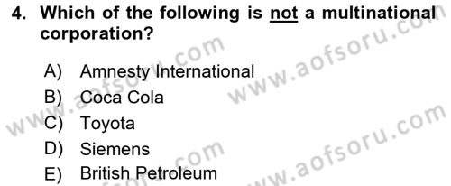 Introduction to International Relations Dersi 2019 - 2020 Yılı (Final) Dönem Sonu Sınav Soruları 4. Soru