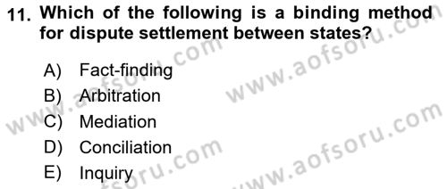 Introduction to International Relations Dersi 2020 - 2021 Yılı Yaz Okulu Sınav Soruları 11. Soru
