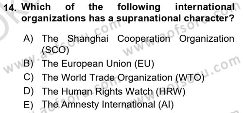Introduction to International Relations Dersi 2020 - 2021 Yılı Yaz Okulu Sınav Soruları 14. Soru
