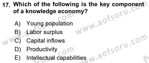 Introduction to International Relations Dersi 2020 - 2021 Yılı Yaz Okulu Sınav Soruları 17. Soru