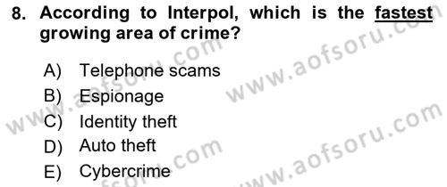 Introduction to International Relations Dersi 2020 - 2021 Yılı Yaz Okulu Sınav Soruları 8. Soru