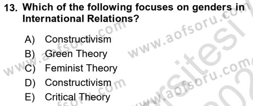 Introduction to International Relations Dersi Ara Sınavı Deneme Sınav Soruları 13. Soru