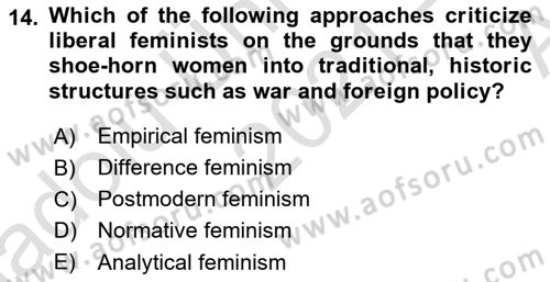 Introduction to International Relations Dersi Ara Sınavı Deneme Sınav Soruları 14. Soru