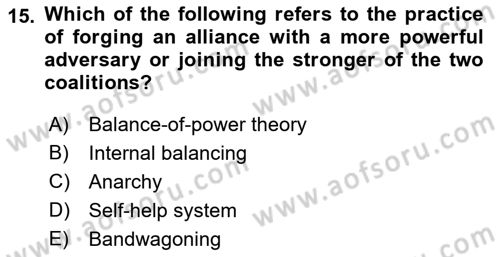 Introduction to International Relations Dersi Ara Sınavı Deneme Sınav Soruları 15. Soru