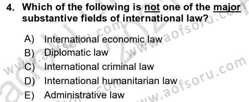 Introduction to International Relations Dersi Ara Sınavı Deneme Sınav Soruları 4. Soru