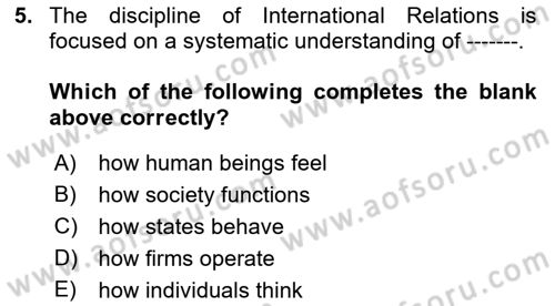 Introduction to International Relations Dersi Ara Sınavı Deneme Sınav Soruları 5. Soru