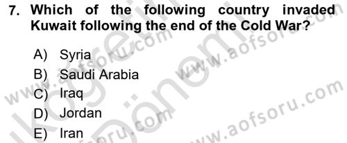 Introduction to International Relations Dersi Ara Sınavı Deneme Sınav Soruları 7. Soru