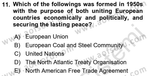 Introduction to International Relations Dersi 2021 - 2022 Yılı (Final) Dönem Sonu Sınav Soruları 11. Soru