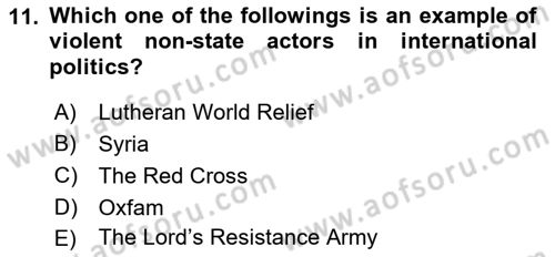 Introduction to International Relations Dersi 2021 - 2022 Yılı Yaz Okulu Sınav Soruları 11. Soru