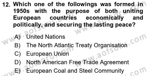 Introduction to International Relations Dersi 2021 - 2022 Yılı Yaz Okulu Sınav Soruları 12. Soru