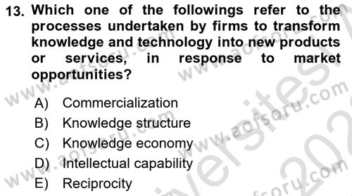Introduction to International Relations Dersi 2021 - 2022 Yılı Yaz Okulu Sınav Soruları 13. Soru